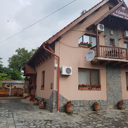 Pensiunea Lorincz *** Panzio Совата Экстерьер фото