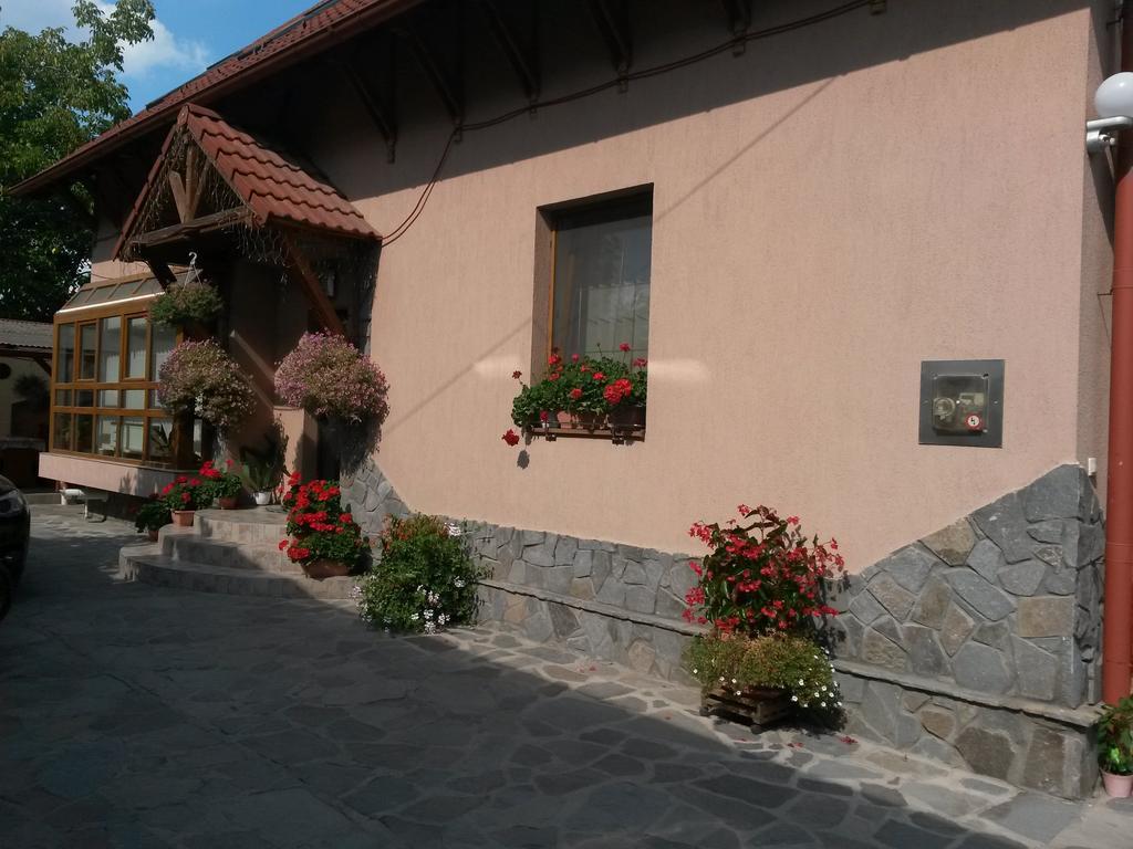 Pensiunea Lorincz *** Panzio Совата Экстерьер фото