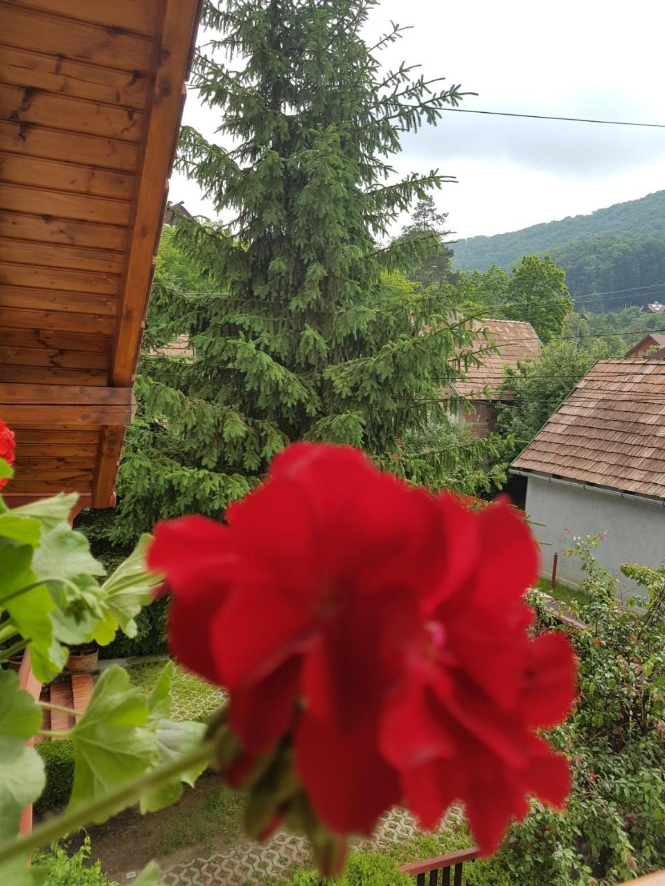 Pensiunea Lorincz *** Panzio Совата Экстерьер фото